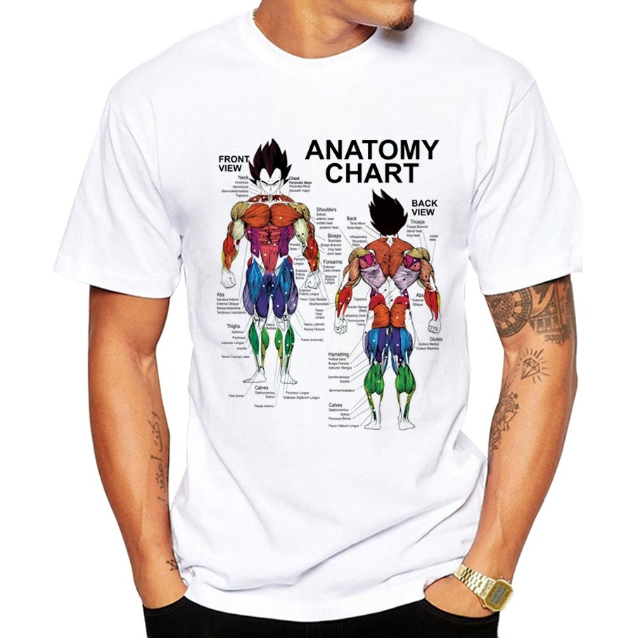 Vegeta Muscle Diagram T-shirt